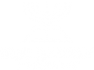 IBS Logo